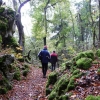 AU2 Herbstwanderung TTK 2009 006
